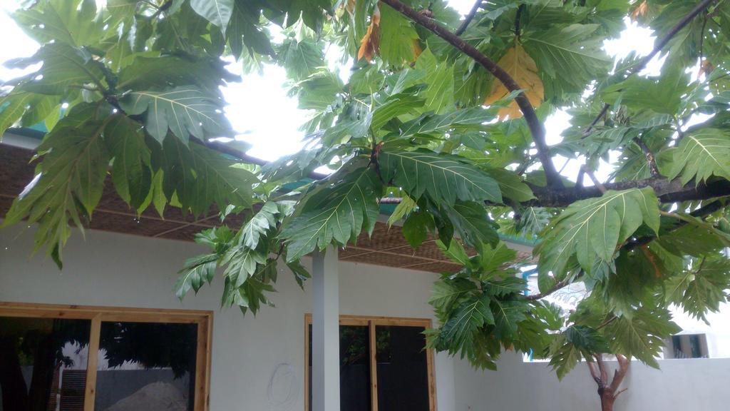 Crystal Dhiffushi Hotel Exterior foto