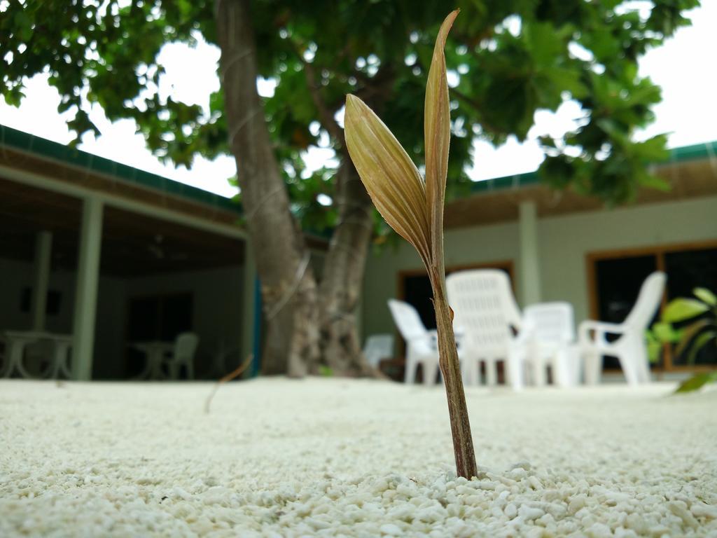 Crystal Dhiffushi Hotel Exterior foto